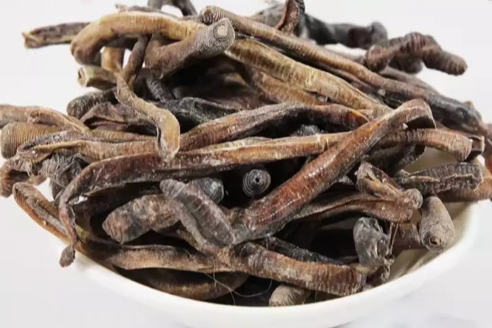 خراطین خشک