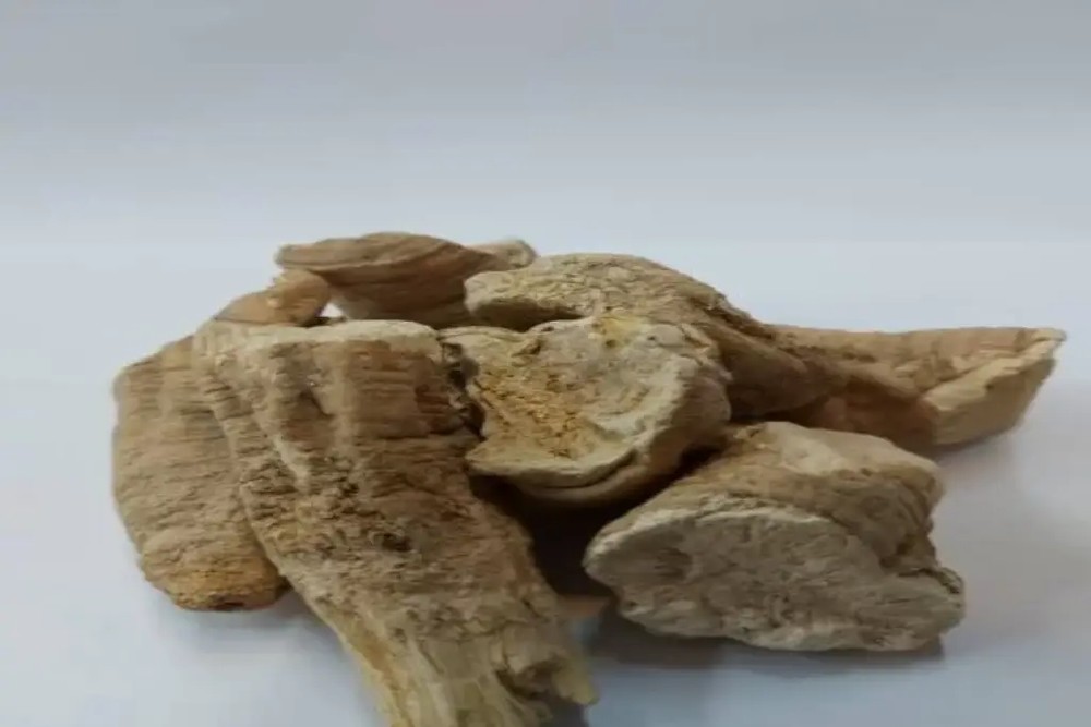 قسط شیرین