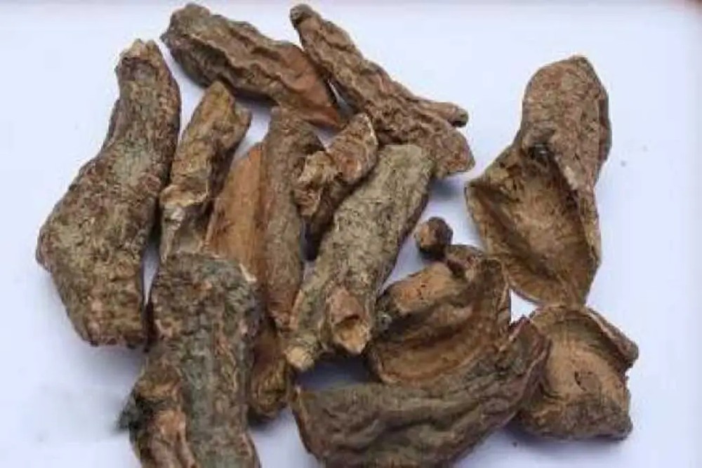 بهمن سرخ