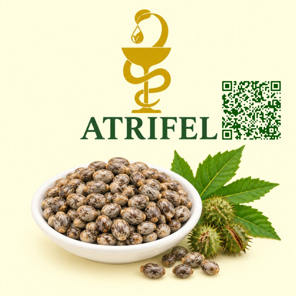 بید‌‌‌ انجیر