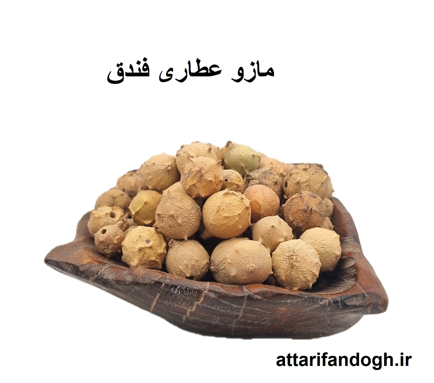 مازو تمیز عطاری فندق