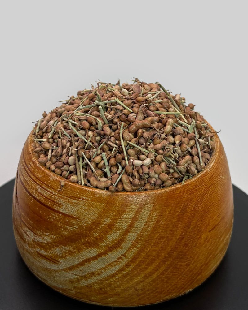 تخم خارشتر