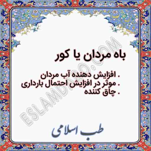 باه مردان یا کور / گیاه قیصوم