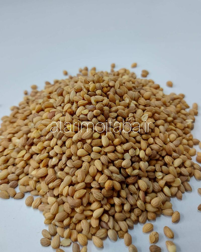 مهلب (مغز محلب) 90 گرمی