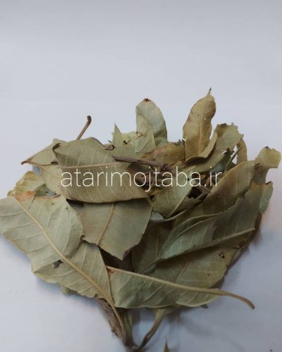 برگ انبه 180 گرمی
