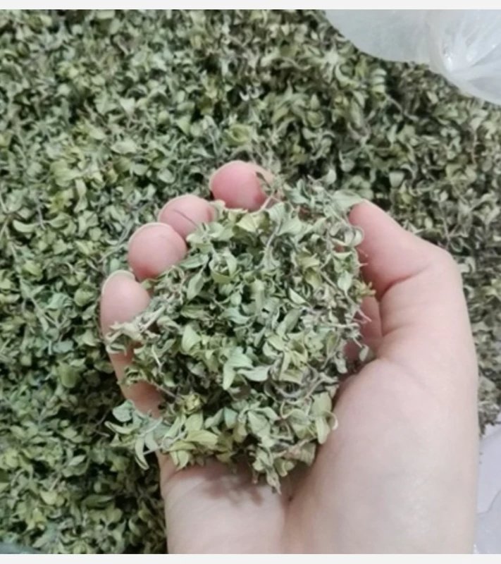 کهلیک اوتی