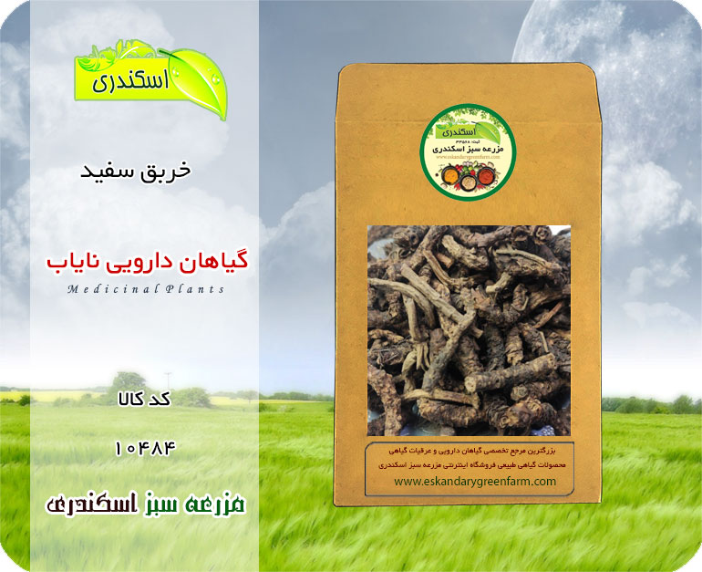 خربق سفید اصل و نایاب | گیاه دارویی کم‌یاب