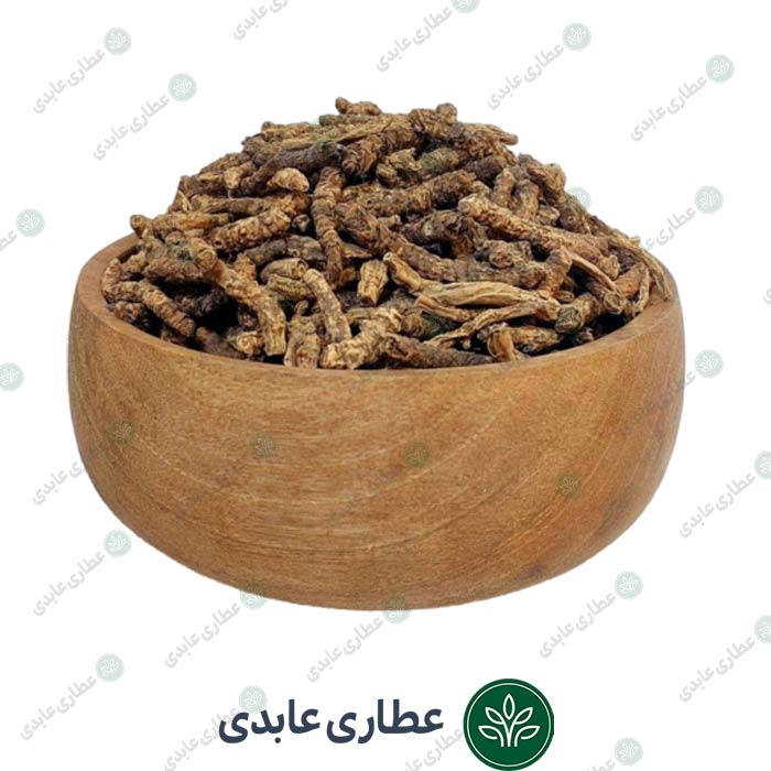 خربق سفید فله ای