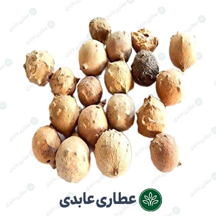مازو فله ای