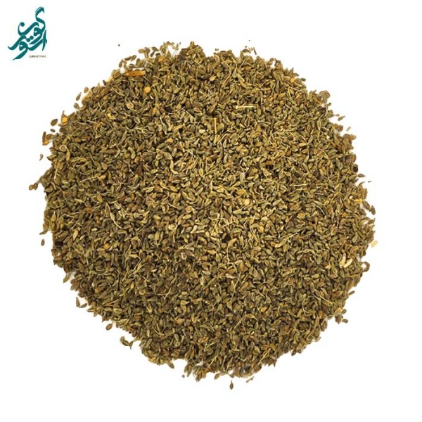 گیاه انیسون