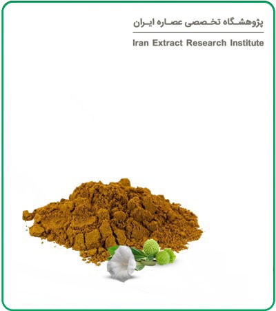 عصاره تاتوره خشک (پودری)
