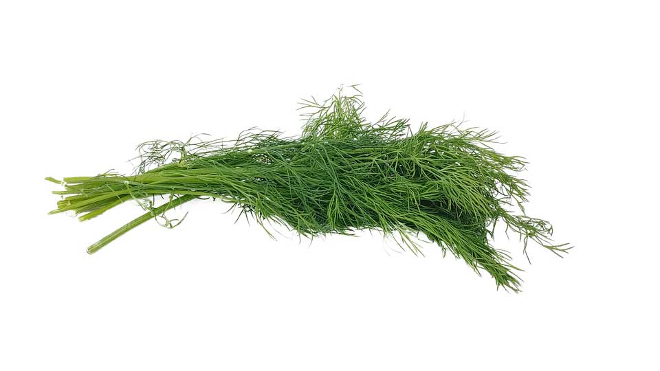 شوید برند Karoël Spice