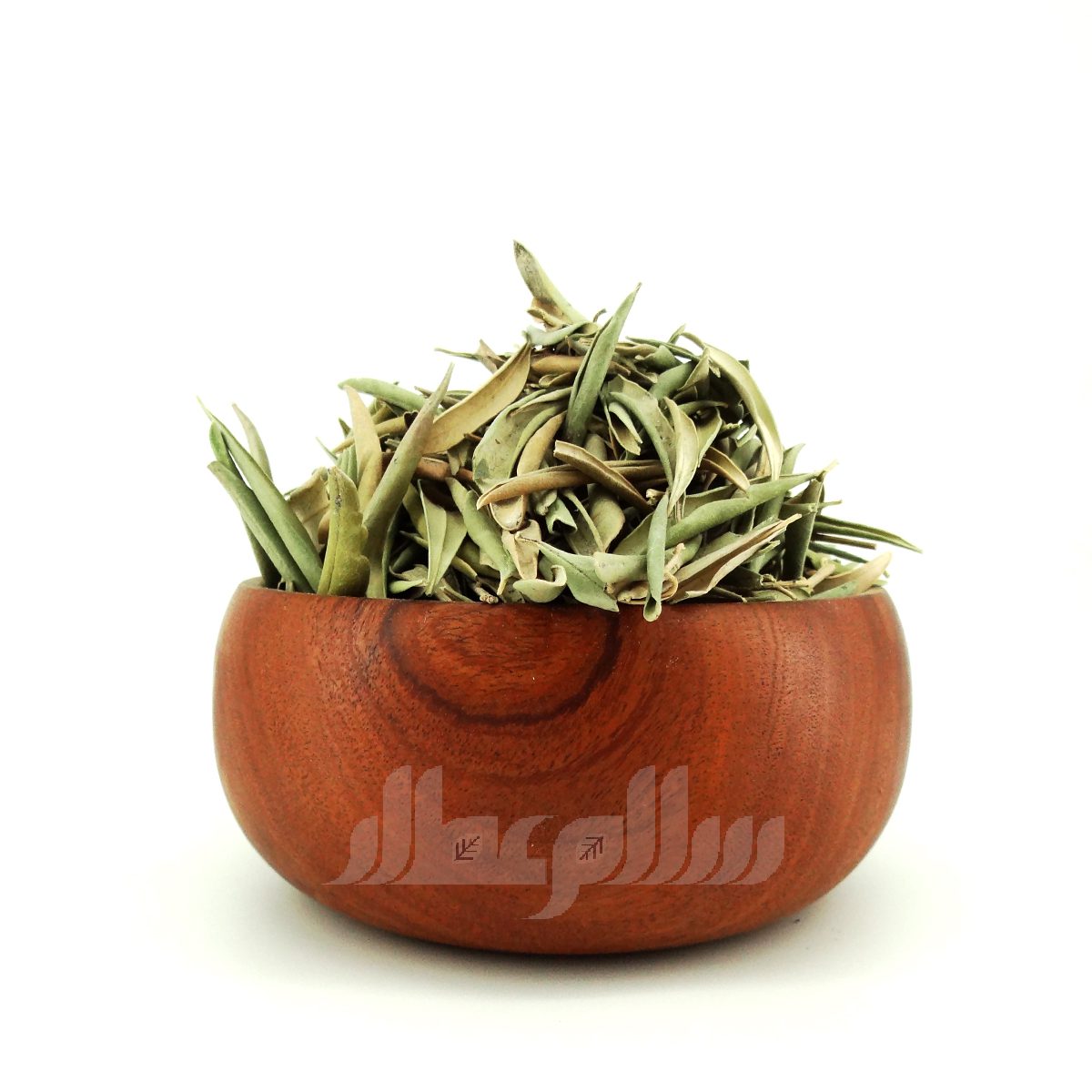 برگ زیتون