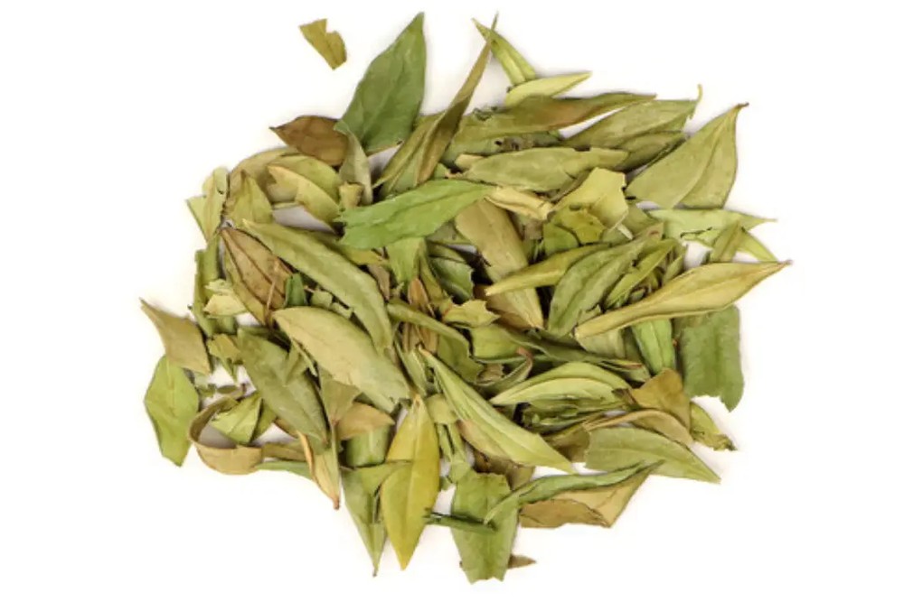 برگ مورد