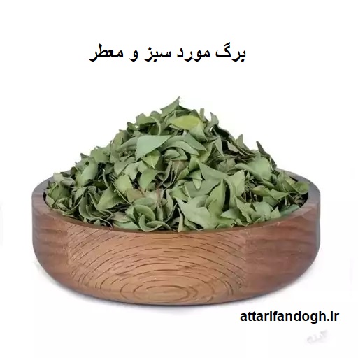برگ مورد سبز و معطر