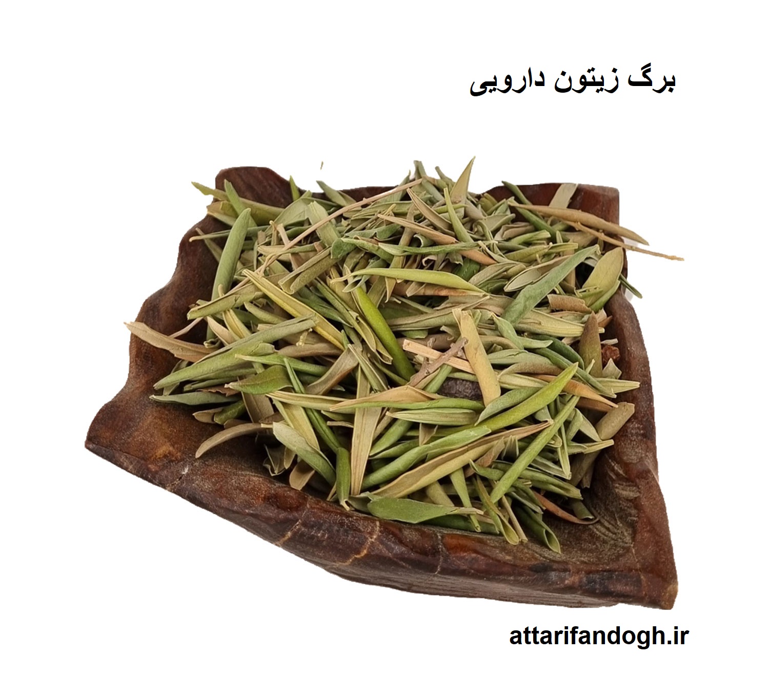برگ زیتون دارویی عطاری فندق