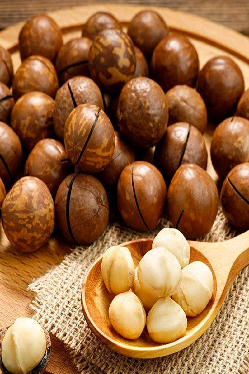 ماکادمیا ممتاز