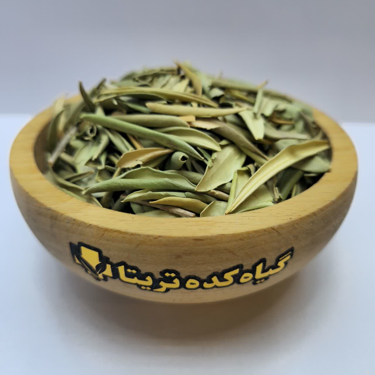 برگ زیتون