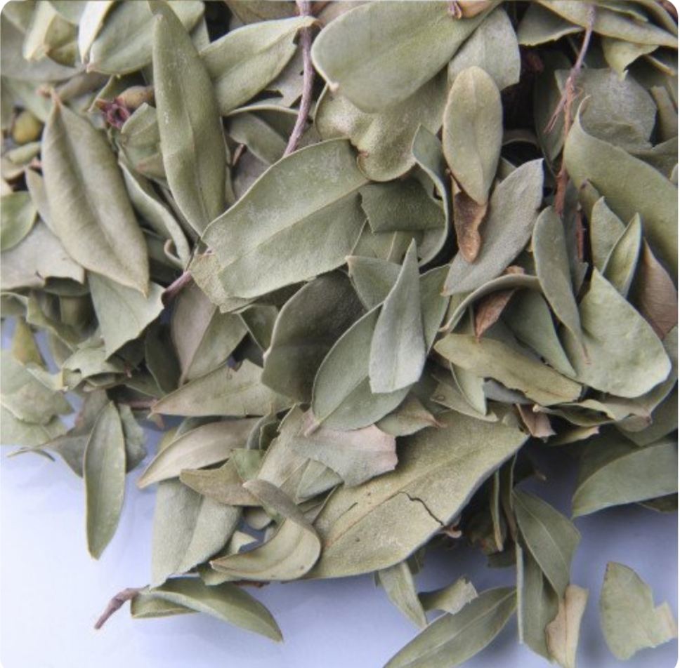 برگ مورد