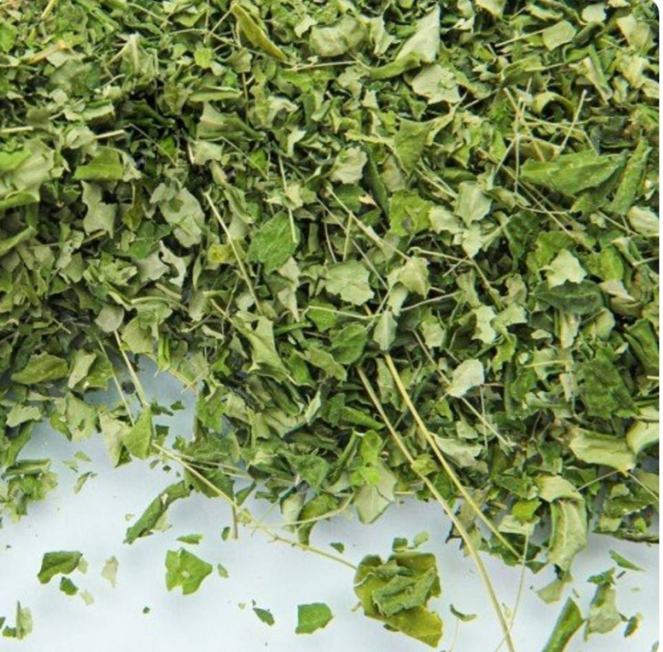 برگ مورینگا