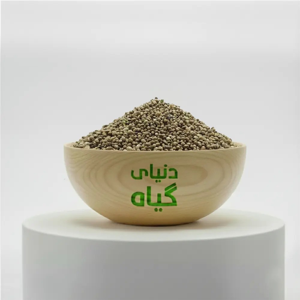شاهدانه درشت