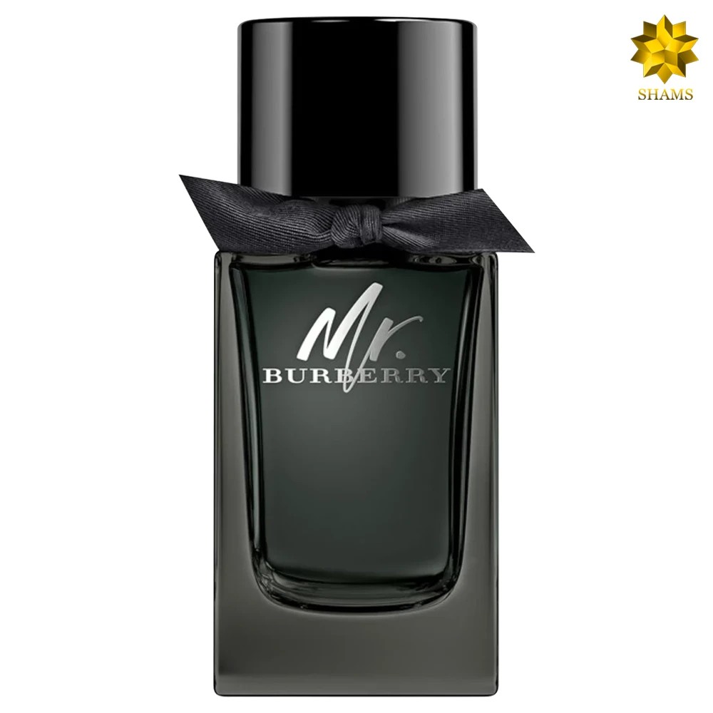 Burberry Mr. Burberry Edp 100ml کد 3004