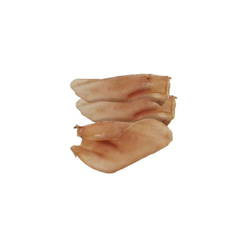 گوش بوفالو