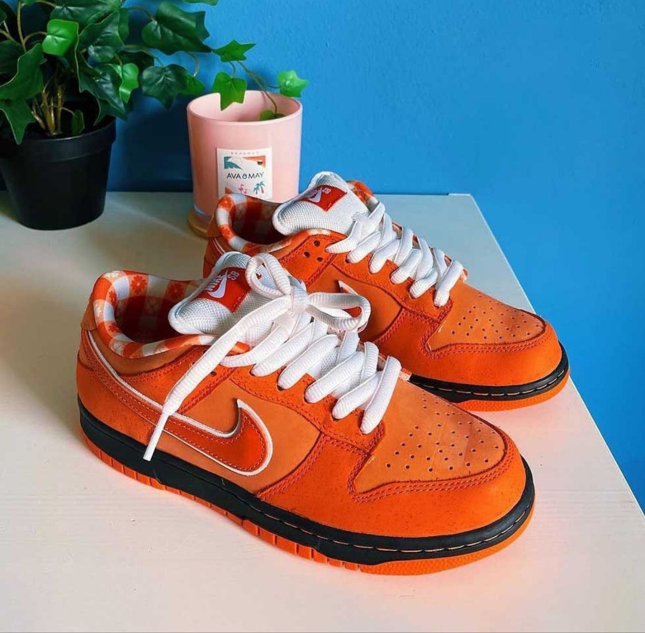 نایک اس بی دانک بدون ساق لابستر نارنجی Nike sb dunk lobster orange