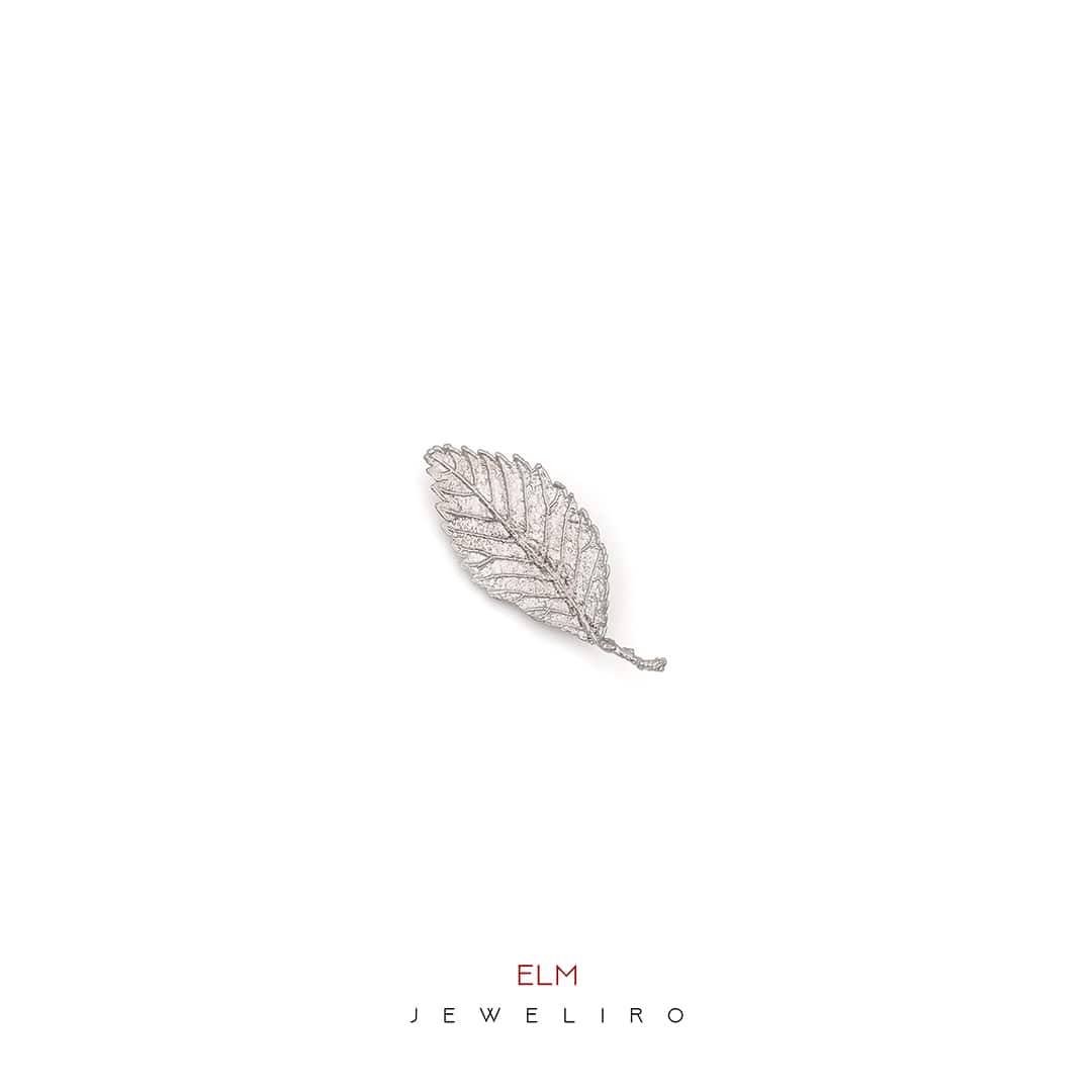 گل سینه برگ نارون کد JL.JBW.03059