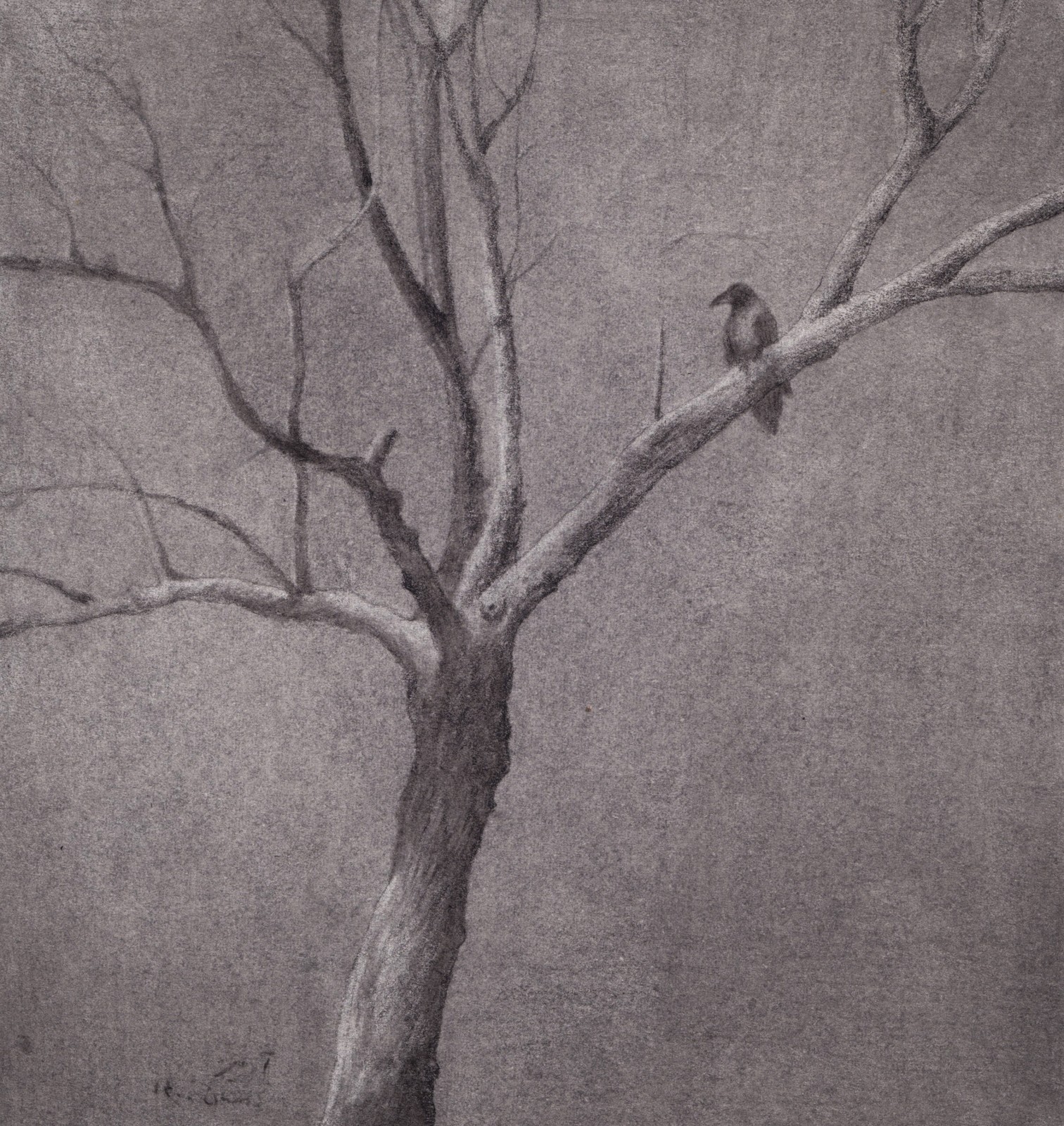 Crow On the Tree