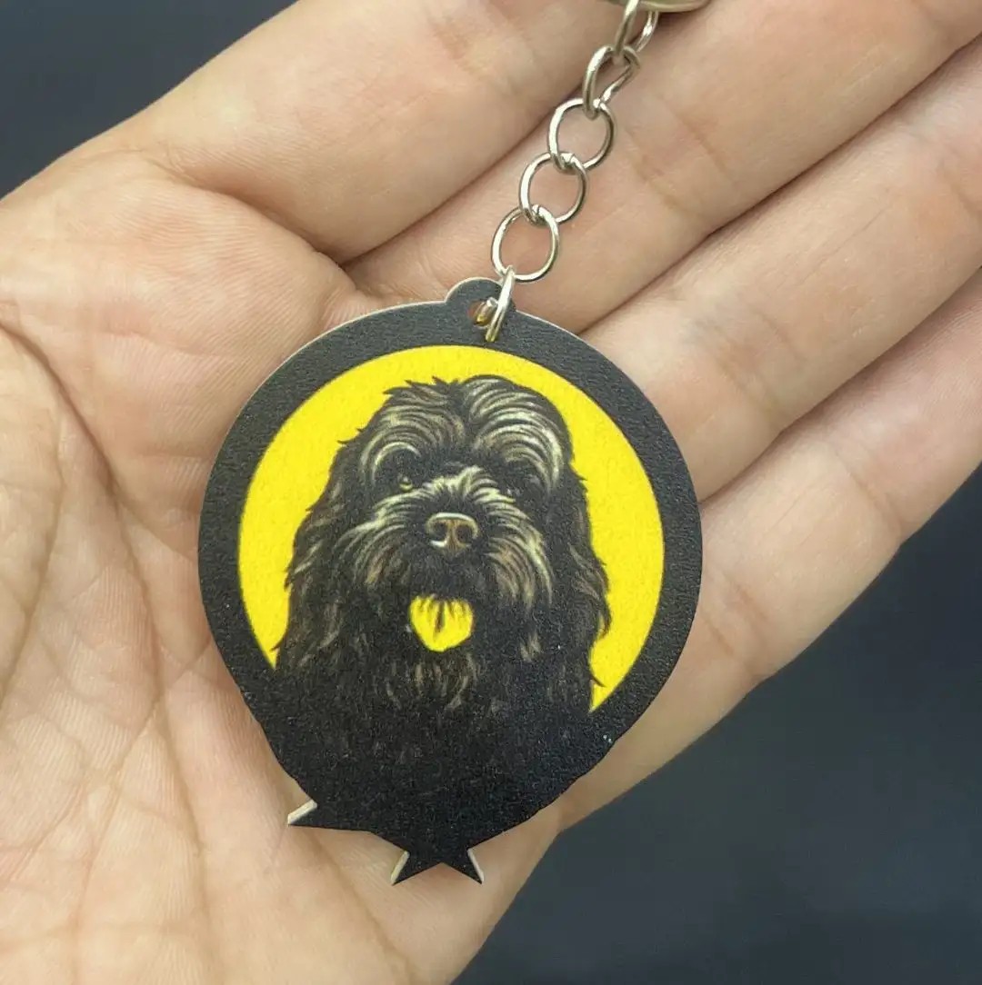 جاکلیدی مدل DOG 01