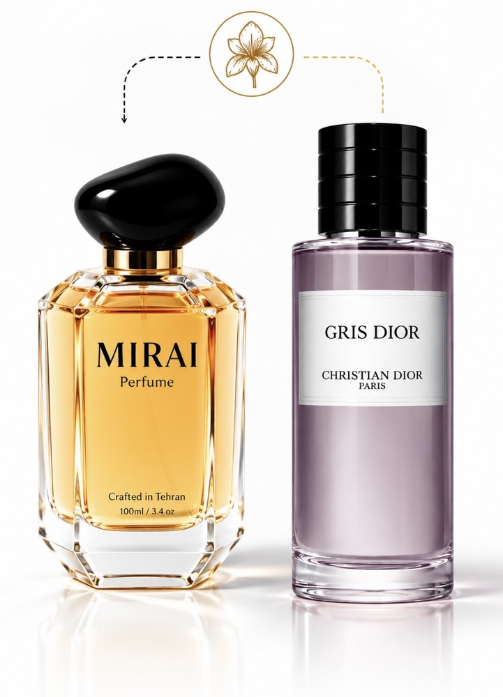 Dior Gris Dior