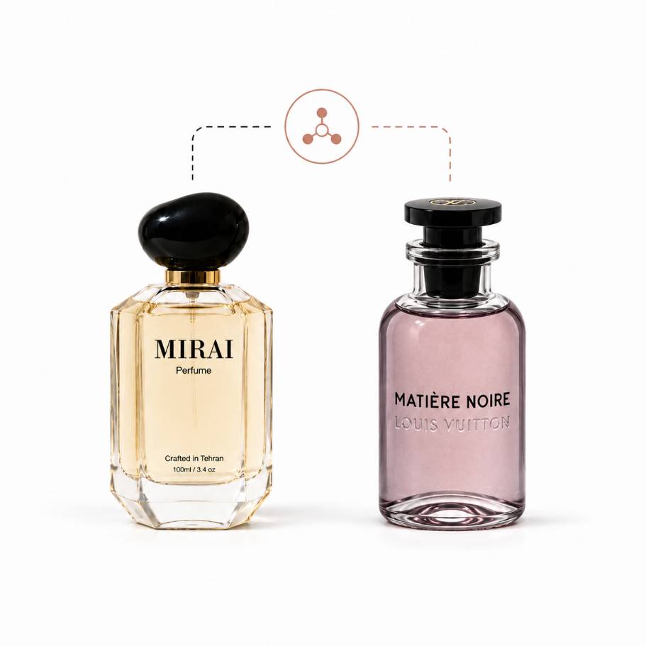Louis Vuitton Météore Noir