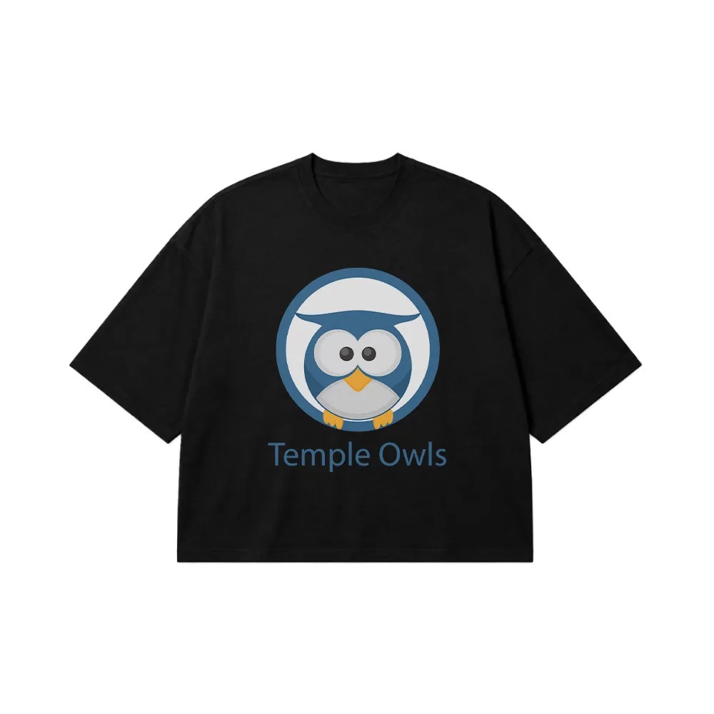 تیشرت باکسی جغد طرح Temple Owls آبی کد 19320