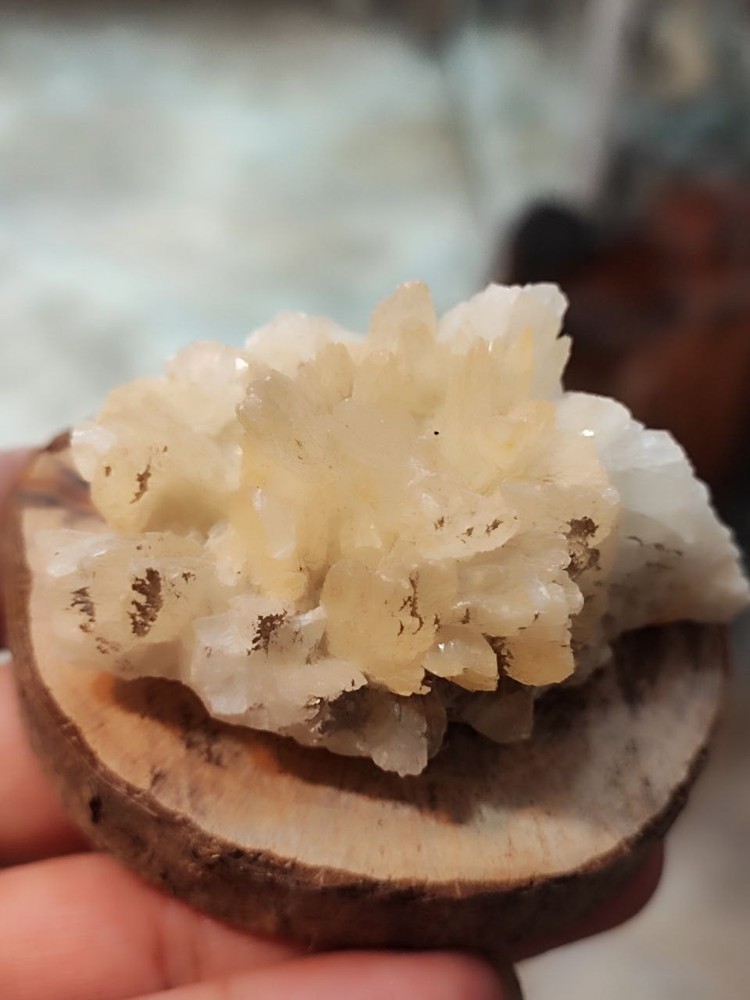 کلسیت برگی نباتی