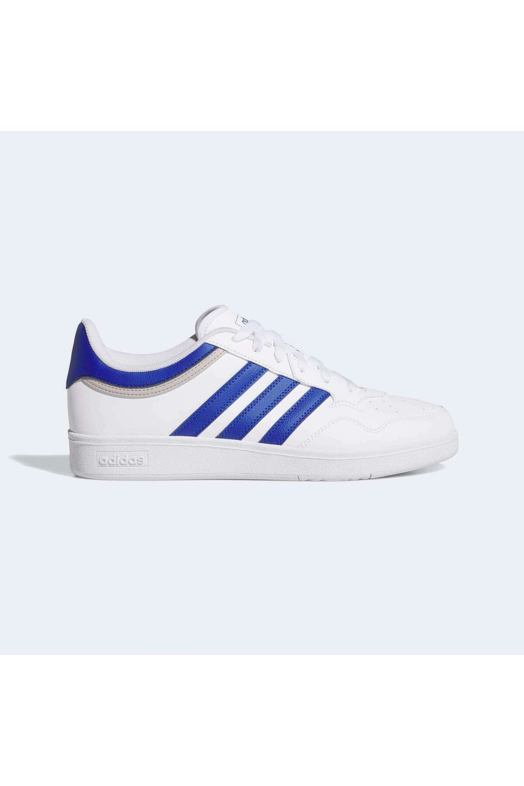 کفش Hoops 4.0