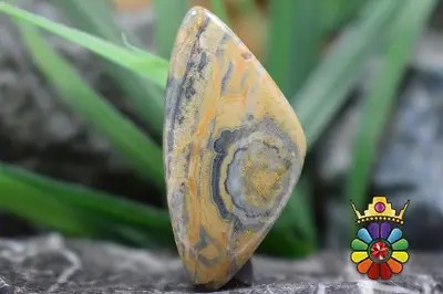 جاسپر اقیانوسی(اوشن جاسپر)