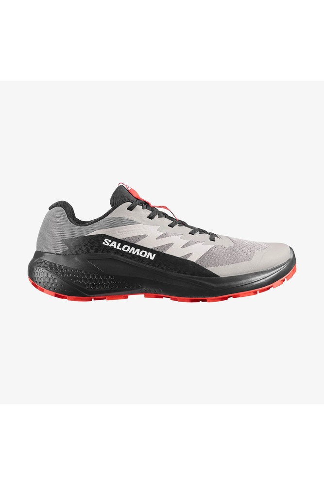 کفش Salomon سالومون ورزشی مردانه ALPHAGLIDE L48000800 اورجینال