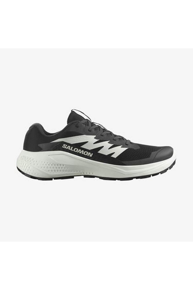 کفش Salomon سالومون ورزشی و مناسب دویدن مردانه Alphaglide Bk/Phantom Black L47801000 اورجینال