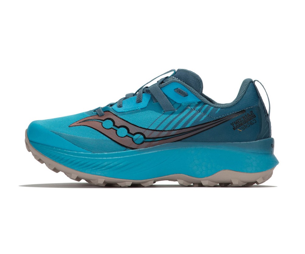 کتونی اورجینال ساکونی Saucony Endorphin Edge Trail