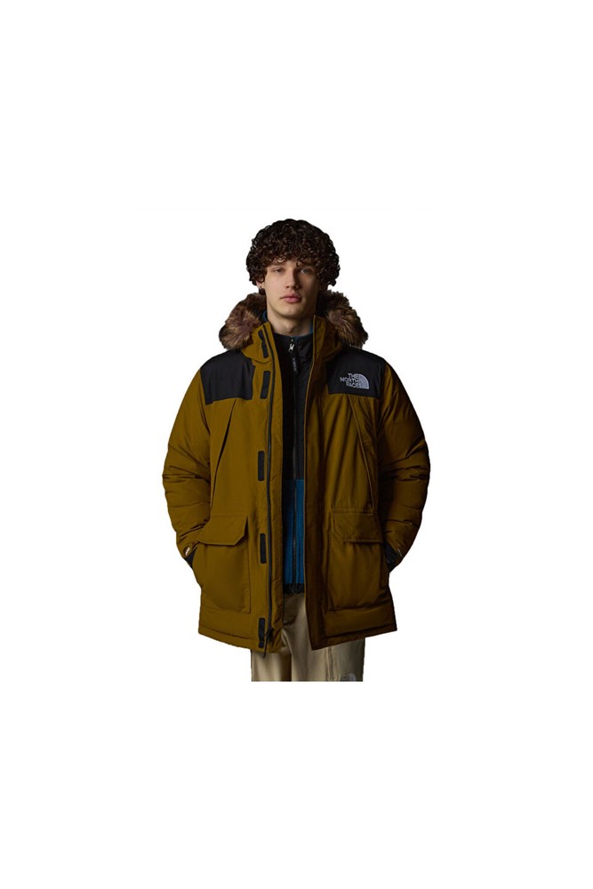 کاپشن مردانه نورث فیس | The North Face NF0A5GJF5HO1