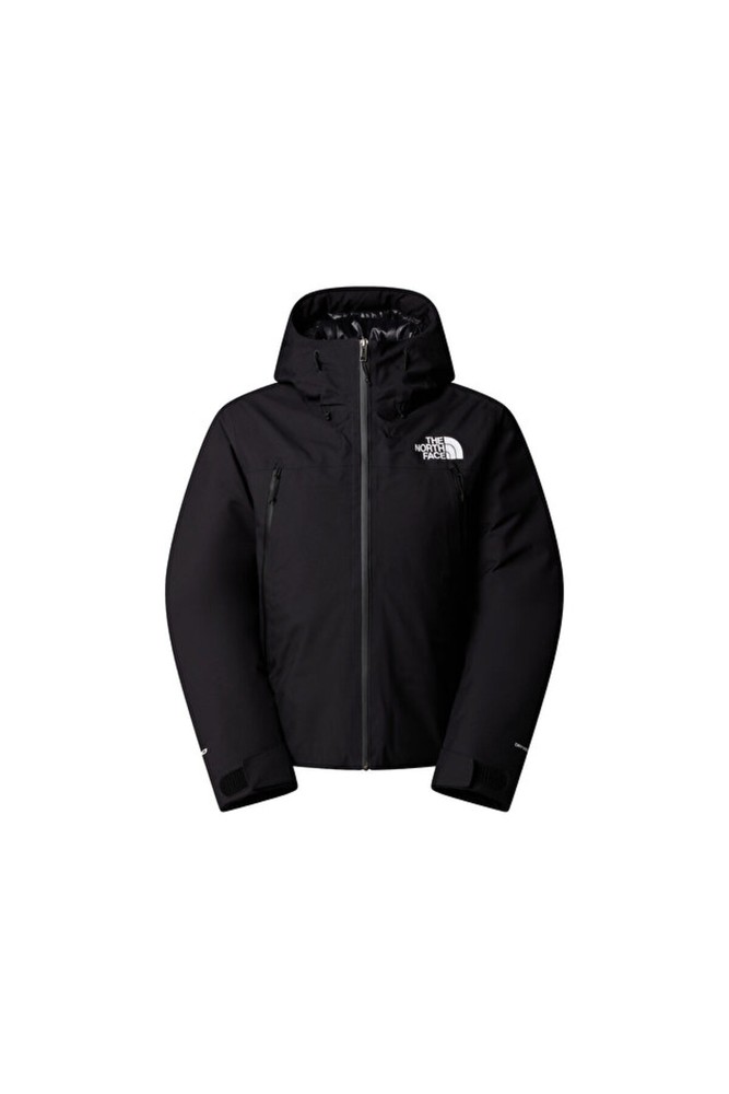 کاپشن مردانه نورث فیس | The North Face NF0A8DQTJK31