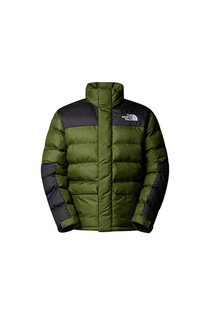 کاپشن مردانه نورث فیس | The North Face NF0A89EGBRI1