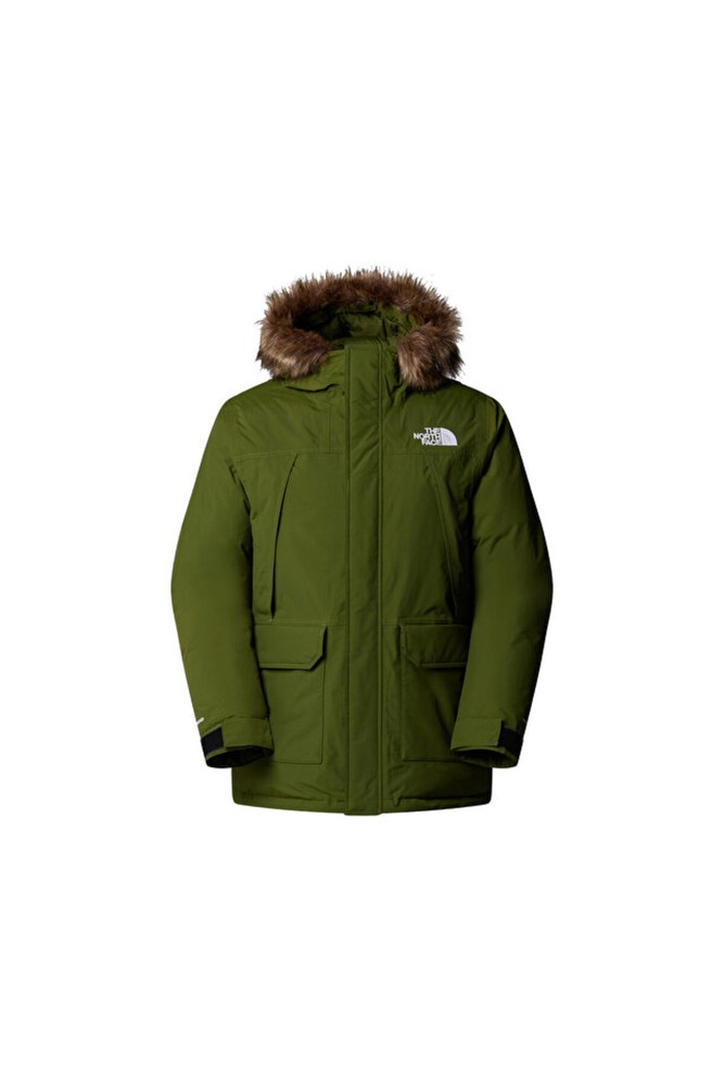 کاپشن مردانه نورث فیس | The North Face NF0A5GJFBRI1