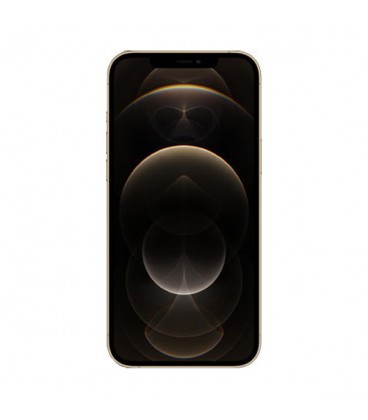 گوشی موبایل اپل مدل iPhone 12 Pro Max دوسیم کارت ظرفیت 6/256 گیگابایت(Not Active)