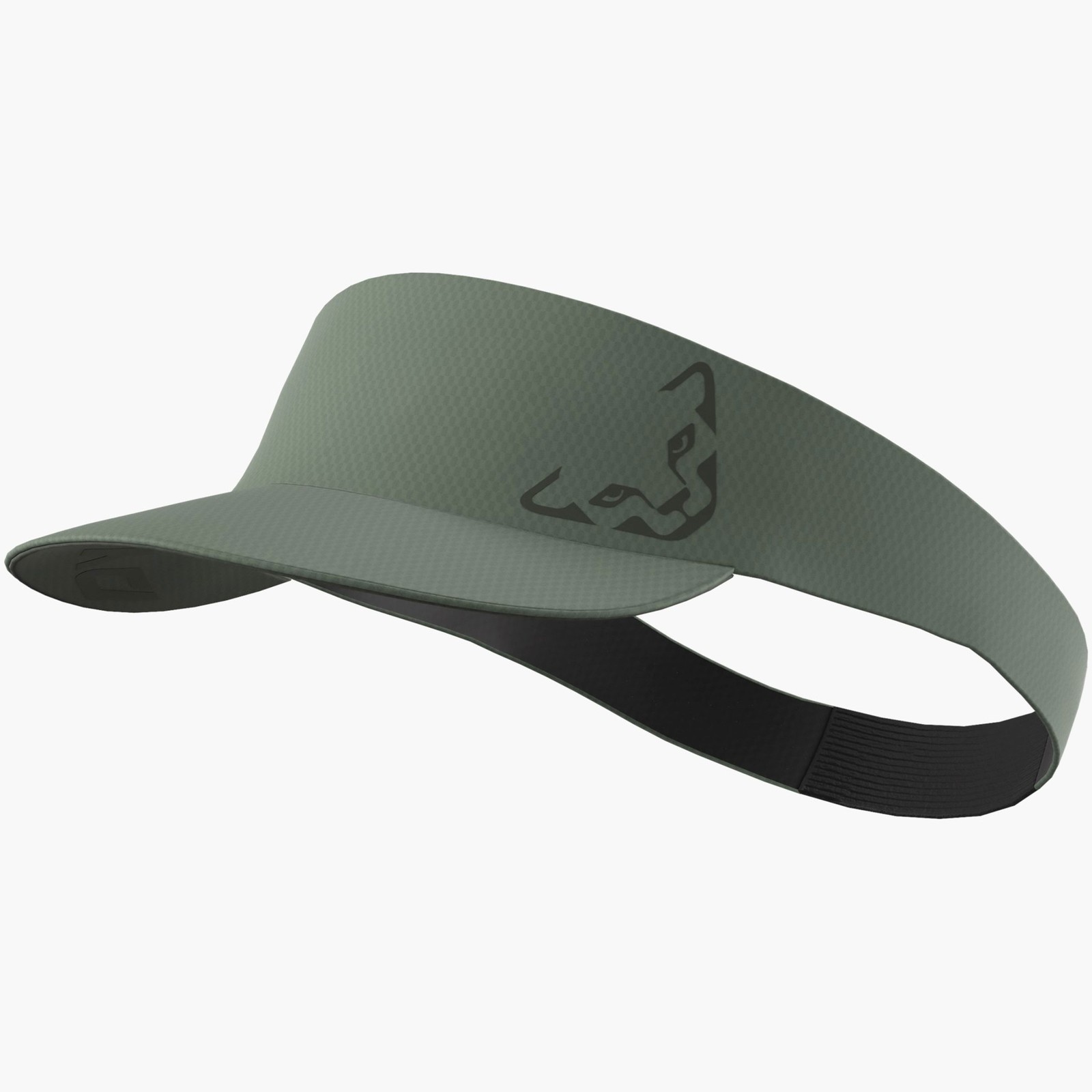 ویزور آلپایین داینافیت DYNAFIT Alpine Visor Band