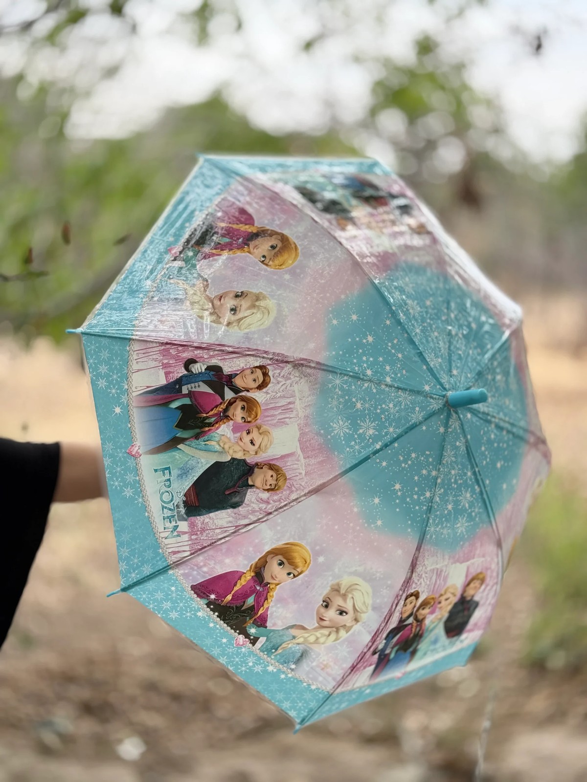 چتر السا و آنا