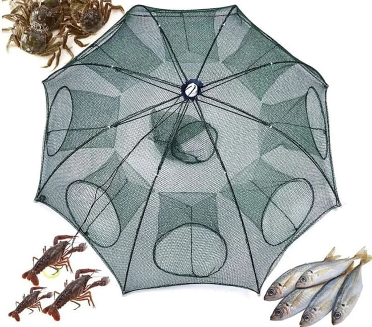گرگور 8سوراخ ماهیگیری