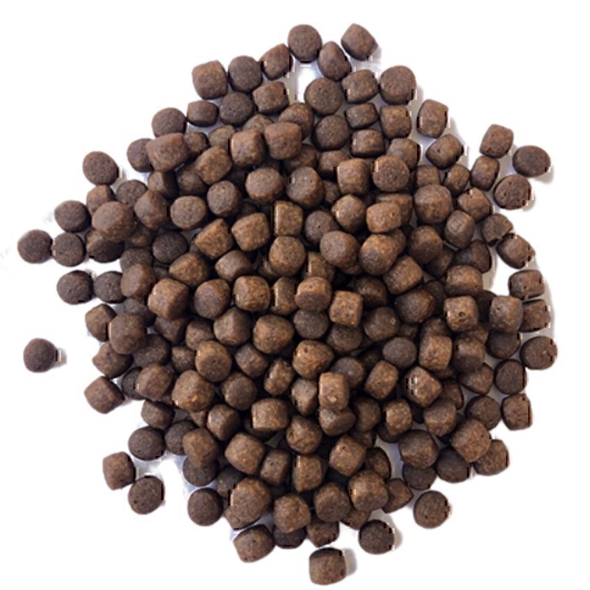 طعمه ماهیگیری لوفاک