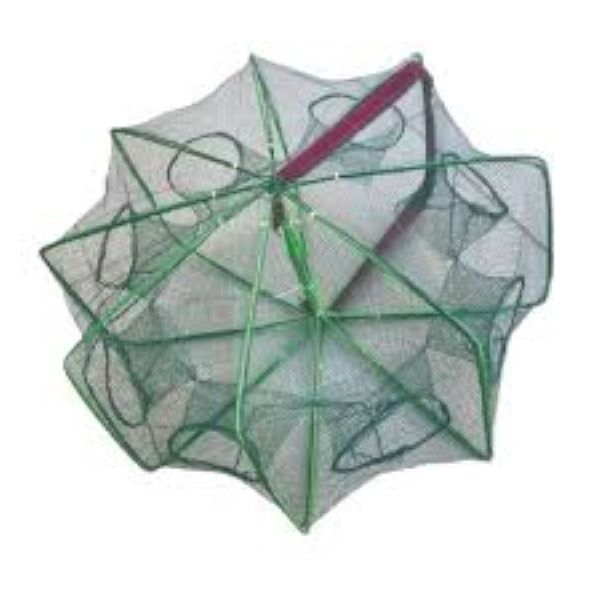 گرگور کتابی 8 چشمه